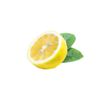 Lamaie proaspata pentru peste livrare Sector 4