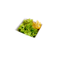 Salata verde proaspata cu lamaie garnitura livrare la domiciliu